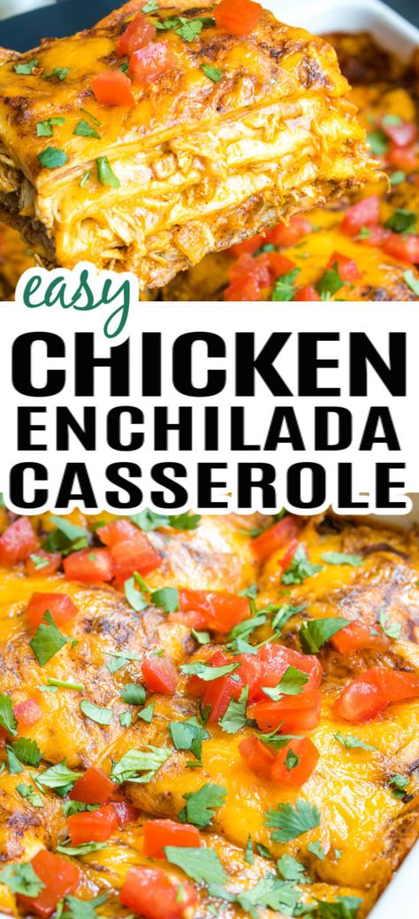 A baking dish with chicken enchilada casserole in a baking dish, topped with cilantro and tomatoes. Easy Enchilada Casserole, Easy Chicken Enchilada Casserole, Easy Chicken Enchiladas, Easy Chicken Enchilada Recipe, Chicken Enchilada Casserole Recipe, Chicken Enchilada Bake, Enchilada Casserole Recipes, Easy Enchiladas, Chicken Enchiladas Easy