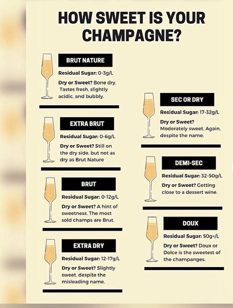 Pin by Kimberly Fry on Cocktails in 2022 | Wine desserts, Champagne recipe, Champagne recipes cocktails Champagne Recipes, Bartending Basics, Champagne Cart, Bartender Drinks Recipes, Champagne Recipe, Wine Facts, Champagne Recipes Cocktails, Bartender Drinks, Homemade Liquor