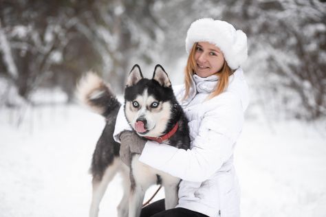 Dog Photography Winter, Dog Owner Photoshoot, Dog Foto, Animal Photoshoot, Husky Photos, Snow Photoshoot, Winter Horse, Photos With Dog, Snow Pictures