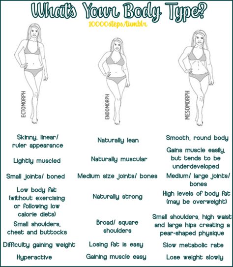 Whats your body type? Body Type Diet, Endomorph Body Type, Square Shoulders, Endomorph Diet, Blood Types, Ooh Ahh, Someecards, Small Frame, Body Image