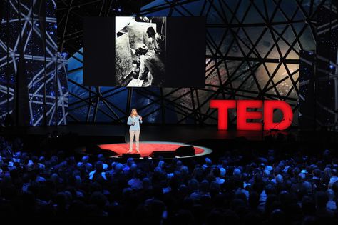 Space archeology! Ted Talk Aesthetic, Egyptian Cities, Aesthetic Corner, Tedx Talks, Ancient Egyptian Cities, Howard Carter, King Tut Tomb, Conference Ideas, Business Vision Board