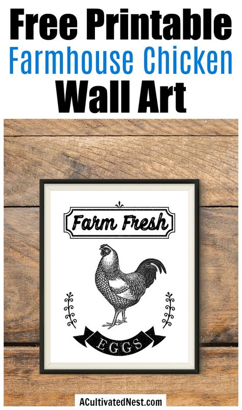 Free Printable Farmhouse Chicken Wall Art- If you want to add a touch of farmhouse style decor to your home, you need to get this free printable farmhouse chicken wall art! This Farm Fresh Eggs wall art free printable would look especially lovely in your kitchen! | farmhouse decor wall art, farm animal wall art,#freePrintable #freePrintables #farmhouseDecor #ACultivatedNest Printable Kitchen Signs, Farm Fresh Eggs Sign, Fresh Eggs Sign, Farmhouse Signs Diy, Farmhouse Printables, Farmhouse Decor Wall, Farmhouse Kitchen Signs, Farmhouse Style Decor, Free Printable Wall Art