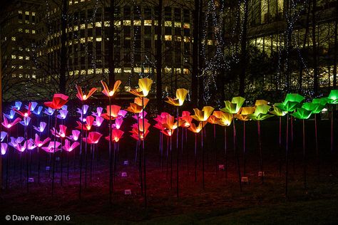 Winter Lights @ Canary Wharf | by Dave Pearce (London) Winter Lights, Canary Wharf, Winter Light, Event Exhibition, Art Event, Best Cities, Exhibitions, Statue, London