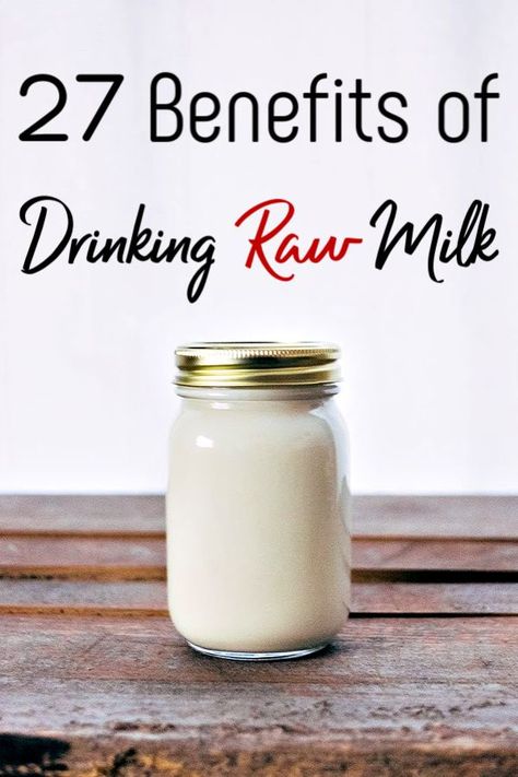 Considering switching to raw milk? These 27 benefits of raw milk may just convince you! Taste aside, you may just be surprised! #rawmilk #health #milk #raw #rawfood #realfood #healthy #fitness Milk Benefits, Nourishing Traditions, Pin Ideas, Milk And Cheese, Dairy Cows, Milk Cow, Fresh Milk, Milk Recipes, Dairy Milk