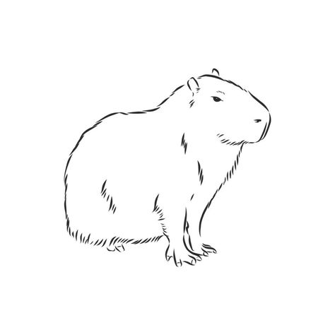 Capybara Clipart, Capybara Tattoo, Drawings To Trace, Tattoo Outline Drawing, Animal Drawings Sketches, Lino Art, Drawing Heads, Vector Sketch, Desenho Tattoo