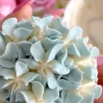 Brooke Fulton on Instagram: "As promised, here’s your step by step guide for creating two toned hydrangeas, the perfect beginner buttercream flower 😍🧁🌸🤗 STEP 1 - Prep your buttercream 🧁 Given we are after a two toned effect, we need 2 shades of buttercream. I’m using @colour.mill Bluebell and natural buttercream ☺️ Be sure to give your b/c a really good stir to get rid of those pesky air bubbles! STEP 2 - Prep your piping bag 🌼 Prepare your piping bag ( I use 10 inch bags when piping flowers) with a 2D nozzle. Then pop your piping bag into a glass jar, pulling the bag over the jar to create a nice opening for your buttercream ✨ STEP 3 - Fill your piping bag 🌷 This is where we create the two tone effect! Choose which colour you want on the outside edge of your flower, then use a butt Two Color Icing Cupcakes Piping Bag, Buttercream Flowers Cupcakes, Cupcake Piping, Decorated Cupcakes, Piping Flowers, Buttercream Flower, Cake Decorating Piping, Piping Bag, Cupcake Icing