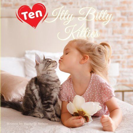 Söt Katt, Haiwan Peliharaan, Beautiful Cats, 귀여운 동물, Animals Friends, Children Photography, Cat Love, Animals For Kids