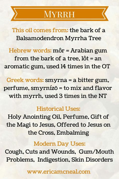 Biblical Oils, Christian Glowup, Oils Of The Bible, Bible Food, Myrrh Oil, Magickal Herbs, Anointing Oil, Essential Oils Herbs, Essential Oils Health