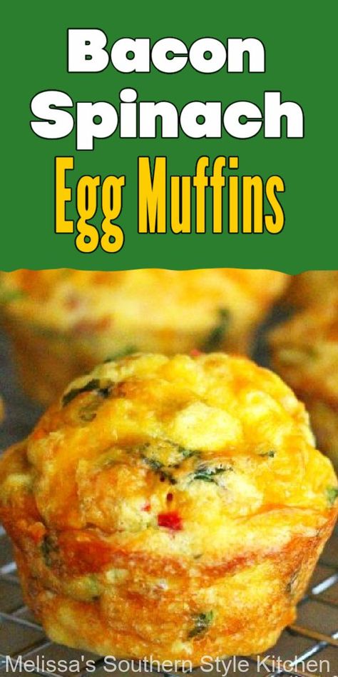 Cupcake Pan Breakfast Recipes, Muffin Pan Egg Cups, Egg Cups Breakfast Healthy, Muffin Pan Eggs, Muffin Pan Quiche, Holiday Brunch Recipes, Muffin Pan Recipes, Bacon Egg Muffins, Eggplant Meatballs