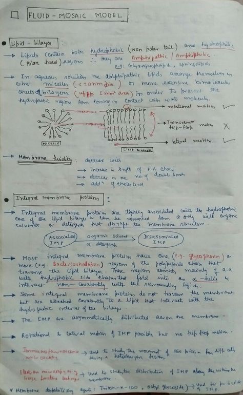 Biological membranes : the fluid mosaic model Fluid Mosaic Model Of Cell Membrane, Fluid Mosaic Model, Cell Biology Notes, Biology Corner, Physiology Notes, Neet Biology, Formula Sheet, Biology Drawing, Biochemistry Notes