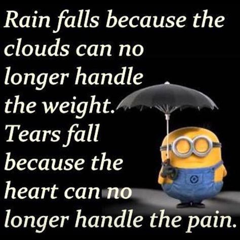 Funny Encouragement, Now Quotes, Minion Jokes, A Minion, Quote Of The Week, Minion Quotes, Funny Minion Quotes, Minions Quotes, After Life