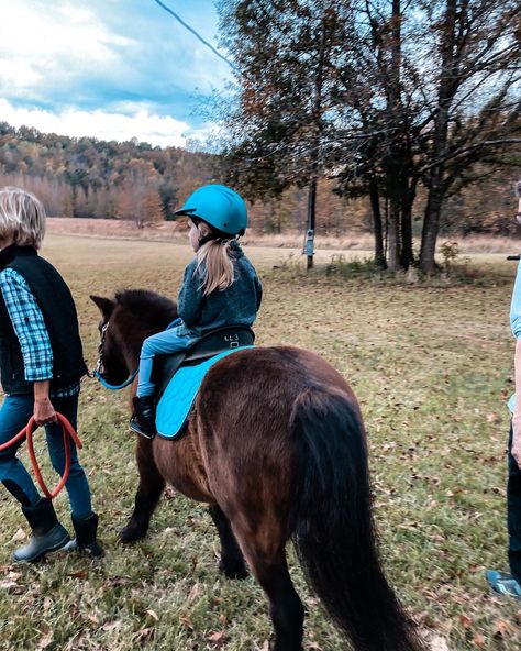 Horse back riding, toddler girl horse back riding, miniature pony, pony, European riding Toddler Horse Riding, Miniature Pony, Miniature Ponies, Horse Back Riding, Horse Lessons, Girl Horse, Ocean Eyes, Golden Hill, Pony Rides