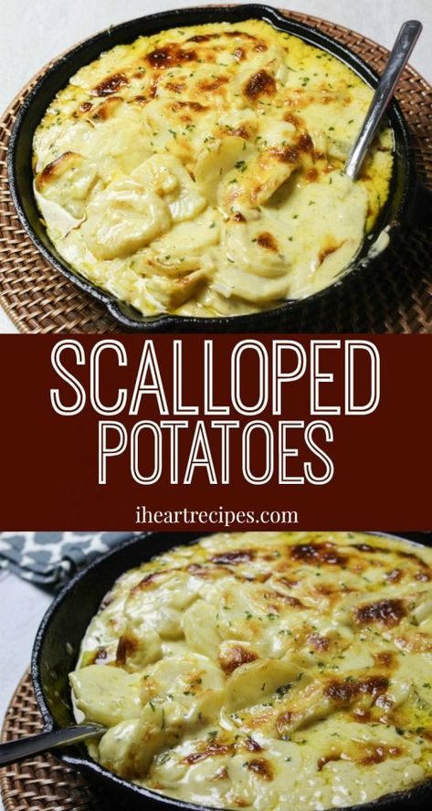 What Can I Make With Potatoes, Scolloped Potatoes, Hospitality Meals, Manly Food, Southern Meals, Scallop Potatoes, Cheesy Scalloped Potatoes Recipe, Best Scalloped Potatoes, Cheesy Scalloped Potatoes