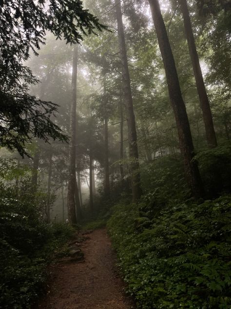 Gloomy Mountain Aesthetic, Smokey Mountains Tennessee Aesthetic, Tennessee Mountains Aesthetic, Mountain Hike Aesthetic, Smoky Mountains Aesthetic, Smokey Mountains Aesthetic, Appalachian Mountains Aesthetic, Carson Core, National Parks Aesthetic