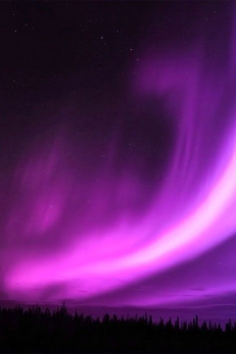 Aura Borealis, Purple Aurora, Night Rainbow, Northern Lights (aurora Borealis), Aurora Borealis Northern Lights, Purple Sky, The Aurora, Indoor Garden Ideas, Natural Phenomena