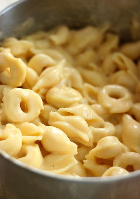 Tortellini Mac and Cheese - Confessions of a Confectionista Tortellini Mac And Cheese, Mac And Cheese From Scratch, Tortellini Recipes, Macaroni Cheese, Mac N Cheese, Tortellini, Mac And Cheese, How To Cook Pasta, Pasta Dishes