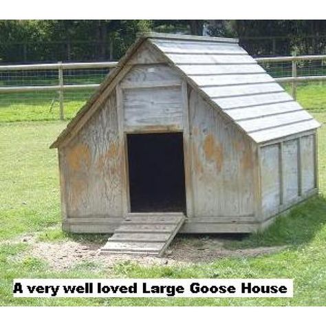 Large Goose House Goose House Ideas, Geese House Ideas, Sebastopol Geese, Goose House, Duck Coop, Access Ramp, Poultry House, Duck House, Keeping Chickens