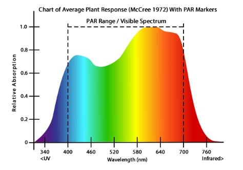 What is a full spectrum LED grow light, and which of the many options are best? In this article we answer both questions for you, so give it a read. Microgreens Garden, Epic Gardening, Aquaponics Diy, Visible Spectrum, Aquaponic Gardening, Nature Aquarium, Aquarium Plants, Led Grow Light, Electrical Projects