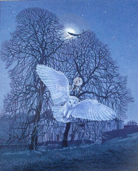 Annie OVENDEN - Owls in the Night Annie Ovenden Art, Annie Ovenden, Red Rag, Owl Artwork, Owl Illustration, Magic Realism, Owl Pictures, Beautiful Owl, Landscape Art Painting