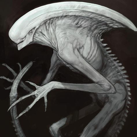 Alien: Covenant Concept Artist Rob Bliss Alien Covenant Concept Art, Carlos Huante, Scary Creatures, Alien Predator, Giger Alien, Alien Photos, Alien Isolation, Alien Artwork, Horror Monsters