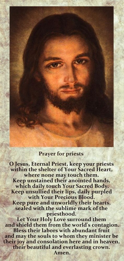 Oratio Imperata Prayer, Saint Padre Pio Healing Prayers, Holy Rosary Prayer, Prayer For Priests Roman Catholic, Divine Mercy Rosary, Communion Prayer, Catholic Prayers Daily, Catholic Beliefs, Saint Quotes Catholic