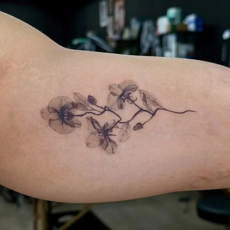 30 Best Orchid Tattoo Ideas You Should Check Abstract Orchid Tattoo, Line Orchid Tattoo, Fine Line Orchid Tattoo, Orchid Tattoo Ideas, Vintage Frame Tattoo, Watercolor Orchid Tattoo, Devine Tattoo, Abstract Orchid, Orchid Tattoos