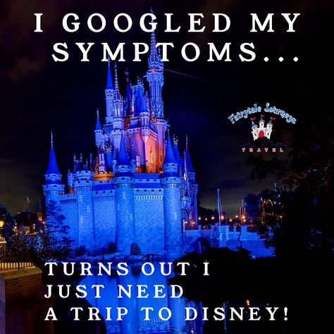 Cinderella Castle with Disney meme Disney World Memes Funny, Disney World Memes, Disney Vacation Planner, Disney World Pictures, Disney Face Characters, Disney Hotels, Vacation Planner, Face Characters, Disney Life