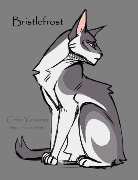 Warrior Cats Drawings, Warrior Cats Drawing, Warrior Cats Oc Ideas, Warrior Cats Series, Cat Template, Cats Art Drawing, Warrior Cats Fan Art, Warrior Cat Drawings, Warrior Cat Oc