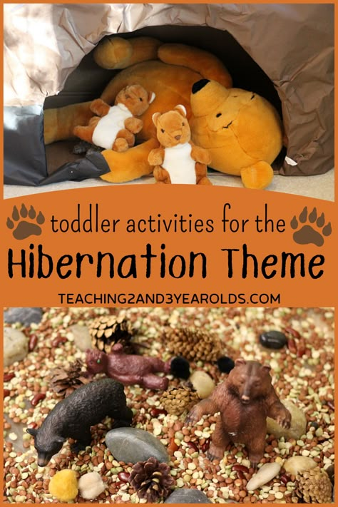 We use lots of hands-on ideas with our toddler hibernation activities. A cave they can actually crawl into, caves they can build with arch blocks, bears and loose parts in the sensory bin. It creates a very meaningful environment that they love! #toddler #hibernation #bears #caves #winter #science #dramaticplay #activities #2yearolds #classroom #homeschool #teaching2and3yearolds Preschool Activities Sensory, Hibernation Preschool Theme, Hibernation Preschool Crafts, Hibernation Preschool Activities, Hibernation Crafts, Winter Animals Preschool, Hibernation Preschool, Hibernation Activities, Winter Lesson Plan