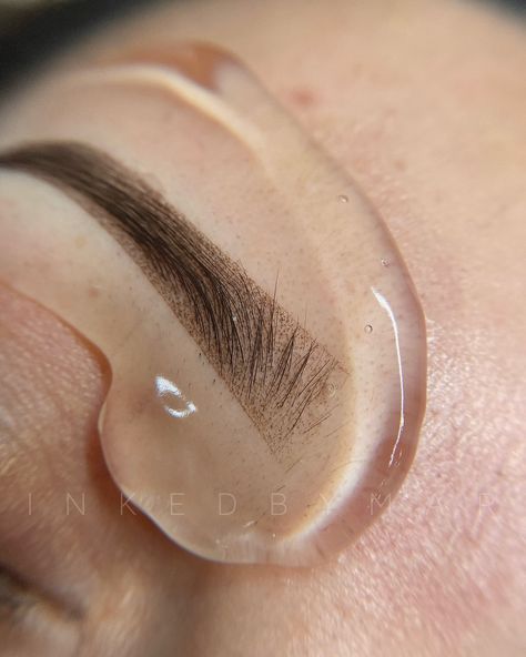 I ♥️ CLOSE UPS ! Tired of filling in your eyebrows? Then Ombre Powder Brows is perfect for you 🥰 Learn my technique at our upcoming training! 𝗢𝗰𝘁𝗼𝗯𝗲𝗿 𝟭𝟭-𝟭𝟮 𝗡𝗼𝘃𝗲𝗺𝗯𝗲𝗿 𝟴-𝟵 —————— 𝐁𝐑𝐎𝐖𝐒 / 𝐋𝐈𝐏 𝐁𝐋𝐔𝐒𝐇 𝐀𝐏𝐏𝐎𝐈𝐍𝐓𝐌𝐄𝐍𝐓 For appointment availability and pricing inquiries, please visit my booking site inkedbymar.as.me (link in bio) 𝐎𝐌𝐁𝐑𝐄 𝐏𝐎𝐖𝐃𝐄𝐑 𝐁𝐑𝐎𝐖 𝐓𝐑𝐀𝐈𝐍𝐈𝐍𝐆 Group and semi-private available for beginners and advanced. For more information, please text or email 📲 682-503-9630 💌 inkedbymar@gmail.com Or DM... Brow Training, Ombre Powder Brows, Ombre Brows, Powder Brows, Lip Blush, Booking Sites, 12 November, November 8, School Project