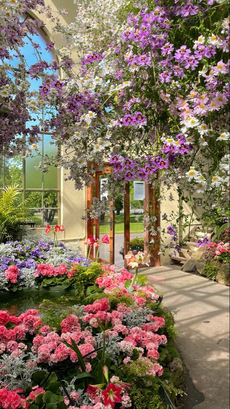 The Conservatory at Fitzroy Gardens in spring Small Botanical Garden, Fitzroy Gardens Melbourne, Melbourne Botanical Gardens, Spring Aesthetic Australia, Botanic Garden Aesthetic, Vows Aesthetic, Botanical Garden Aesthetic, Celeste Aesthetic, Botanical Conservatory