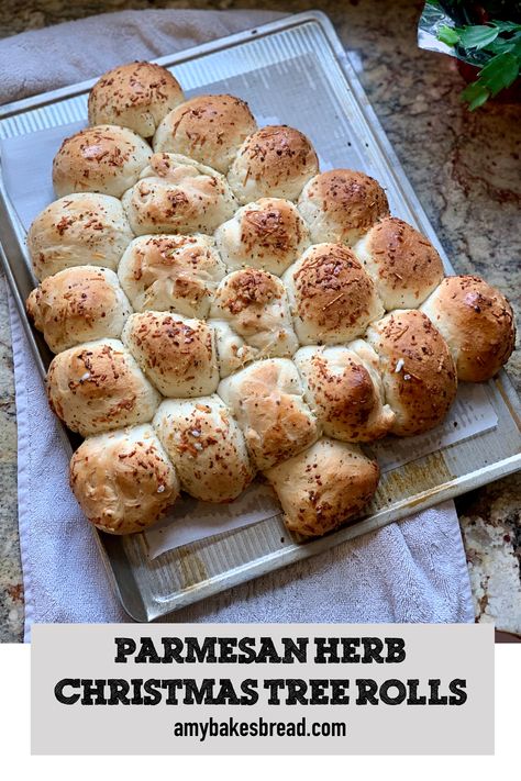 Light fluffy and tender dinner rolls filled with parmesan herb flavor and shaped as a Christmas tree for some festive fun. Christmas Tree Dinner Rolls, Christmas Rolls Recipe, Christmas Rolls Dinner, Christmas Dinner Bread, Christmas Bread Ideas, Christmas Tree Rolls, Tree Rolls, Christmas Tree Bread, Christmas Rolls