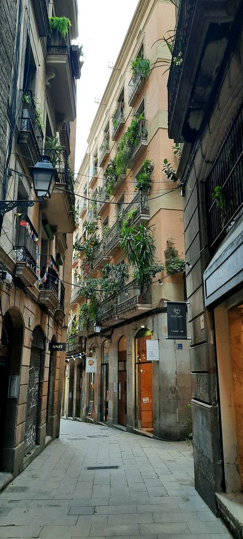 Balcony With Plants, Catalan Modernism, Barcelona Pictures, Barcelona Aesthetic, Picasso Museum, Spain Aesthetic, Roman City, Barcelona City, The Cosmopolitan