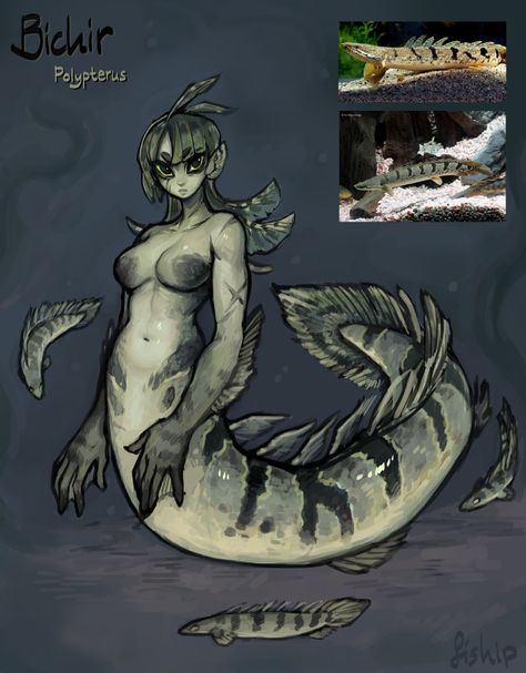 Water Inspired Character Design, Fiship Art, Creature Prompts, Fantasy Species Humanoid, Sea Character Design, Water Campaign, Mermaid Designs, Arts Month, Monster Girl Encyclopedia