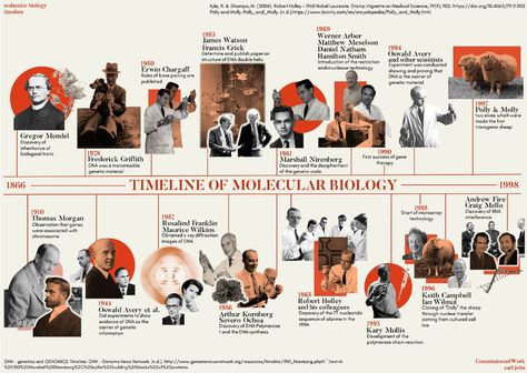 Timeline Infographic Design, Mẫu Power Point, Timeline Project, Mises En Page Design Graphique, Desain Ui, Infographic Design Layout, Timeline Infographic, Timeline Design, History Timeline