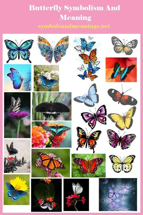 Butterfly Symbolism And Meaning: What Do Butterflies Symbolize? Yellow Butterfly Meaning, Black Caterpillar, Butterfly Symbolism, Butterfly Meaning, Butterflies Symbolize, Cultures Around The World, Butterfly Tattoos For Women, Butterfly Tattoos, Blue Morpho