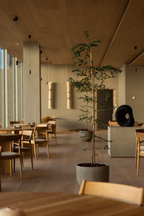 Japanese Furniture Design, Greenhouse Restaurant, Glass Building, Soft Minimalism, Stone Counters, Norm Architects, Brick Flooring, Acoustic Wall, Oak Furniture