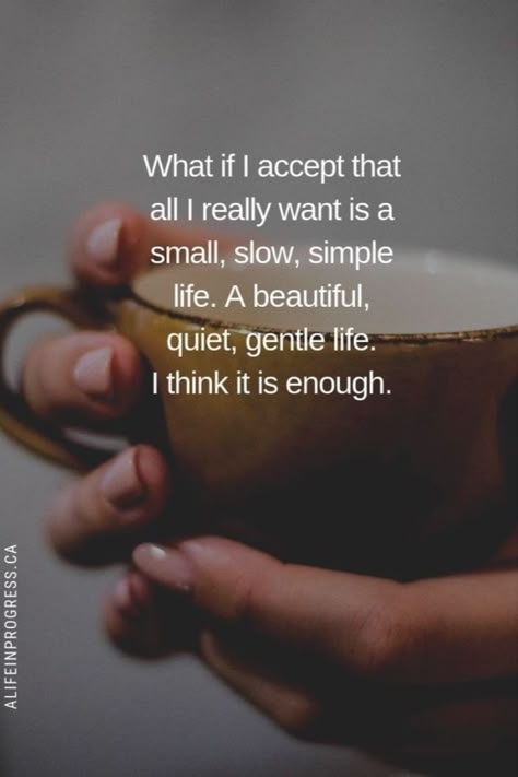 All I Want Is A Simple Life, Life Is Better When Nobody Knows, I Want A Simple Life, Simple Truths Quotes, Living Within Your Means Quotes, Living The Simple Life, Quotes About The Simple Things In Life, Joy In Simple Things Quotes, To Live By Quotes