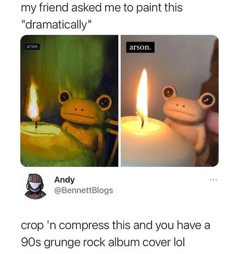 Memes Funny Hilarious, Cat Memes Funny, Morning Funny, Good Morning Funny, Memes Br, Cute Frogs, Art Memes, Memes Funny, Toad