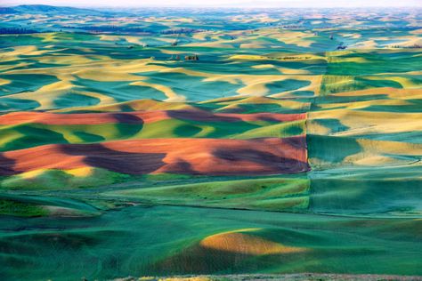 An Idaho Destination Was Recently Named One Of The 45 Most Beautiful Places In The U.S. Idaho Vacation, Idaho Adventure, The Palouse, Visit Idaho, Cedar Forest, Agricultural Land, Places In America, Richest In The World, Dreamy Landscapes