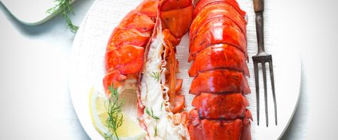 Steamed Lobster, Frozen Lobster, Lobster Dinner, Crab Boil, How To Cook Lobster, Lobster Meat, Frozen Seafood, Lobster Recipes, Maine Lobster