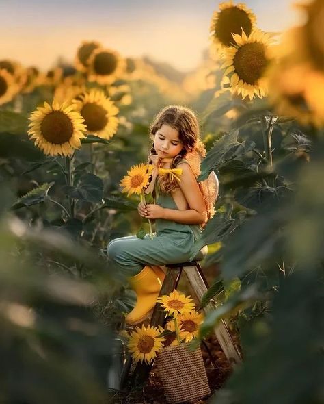 Sunflower Mini Session, Sunflower Field Photography, Sunflower Field Pictures, Sunflower Family, Outdoor Portrait Photography, Wildflowers Photography, Wildflower Photo, Sunflower Photography, Sister Pictures