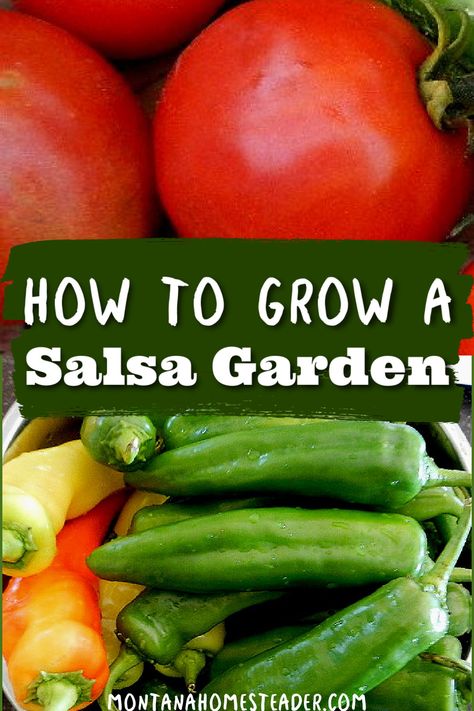 How to Grow a Salsa Garden Salsa Garden Layout, Garden Fresh Salsa, Ripen Green Tomatoes, Salsa Garden, Garden Salsa, Garden Prepping, Varieties Of Tomatoes, Backyard Farm, Planting Onions