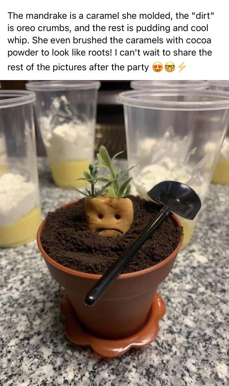 Mandrake Dessert Cups, Harry Potter Movie Night Snacks Easy, Harry Potter Themed Cake Pops, Lotr Watch Party Food, Harry Potter Pancakes, Mandrake Dessert, Harry Potter Mandrake Food, Harry Potter Desert Ideas, Harry Potter Chamber Of Secrets Food