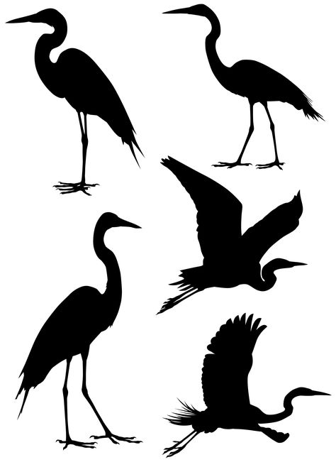 Silhouette Art Painting, Bird Silhouette Art, Simple Wall Paintings, Heron Art, Acrylic Art Projects, Butterfly Images, Tattoo Design Book, Herons, Silhouette Stencil