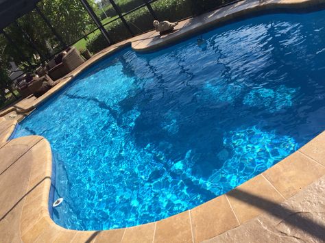 Hawaiian blue by Florida gem Fiberglass Pool Installation, Latham Pool, Freeform Pools, Fiberglass Pool, Fiberglass Swimming Pools, Pool Finishes, Pool Shapes, Pool Colors, Pool Installation