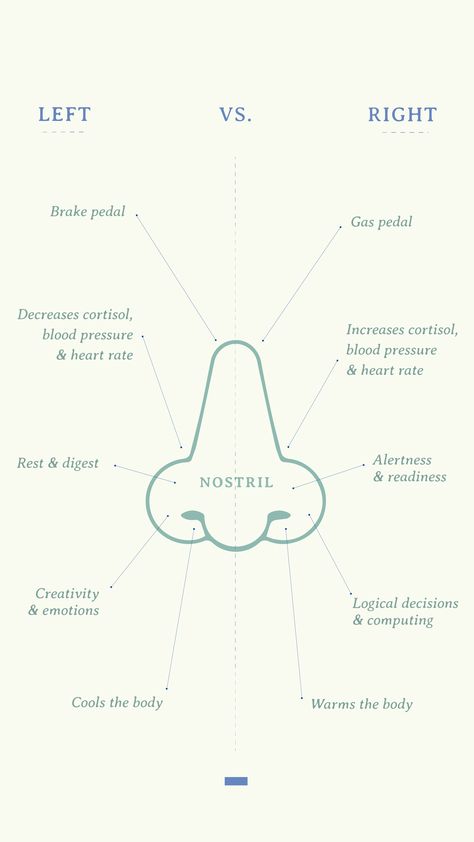 Right Nostril Breathing, Nostril Breathing, Yoga Breathing Techniques, Yoga Breathing Exercises, Yoga Teacher Resources, Pranayama Breathing, Yoga Education, Pranayama Yoga, Alternate Nostril Breathing