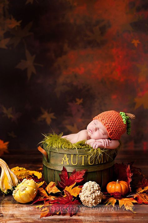 if only . Fall Newborn Photos, Fall Newborn Photography, Fall Baby Pictures, Pumpkins And Leaves, Foto Newborn, Baby Fotografie, Halloween Photography, Baby Poses, Newborn Poses