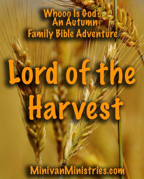 Fall Sunday School Lessons, Harvest Crafts For Kids, Thanksgiving Sunday School Lesson, Youth Bible Lessons, Godly Parenting, Growing Spiritually, Harvest Bible, Harvest Crafts, Devotions For Kids