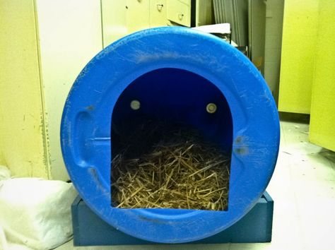 Plastic Barrel Projects, Plastic Barrel Ideas, Barrel Dog House, Everyday Crafts, Goat House, Meat Rabbits, Barrel Projects, 55 Gallon Drum, Duck House